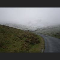 Camino 004.jpg