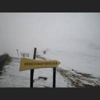 Camino 005.jpg