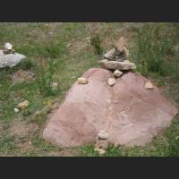Camino 027.jpg