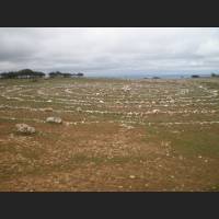 Camino 071.jpg