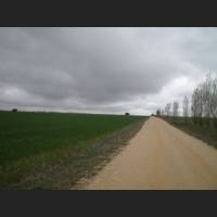 Camino 150.jpg