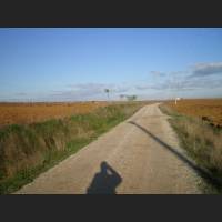Camino 157.jpg