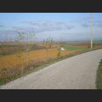 Camino 158.jpg