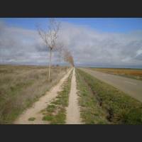 Camino 162.jpg
