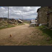 Camino 207.jpg