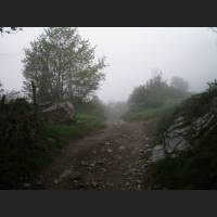 Camino 292.jpg