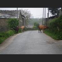 Camino 308.jpg