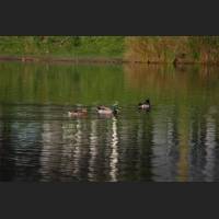 IMG_1714.JPG