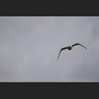IMG_2086.JPG