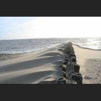IMG_7428.JPG