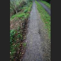 weg008.jpg