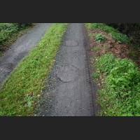weg011.jpg