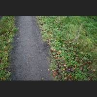 weg024.jpg