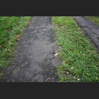 weg032.jpg