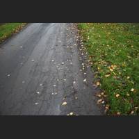 weg082.jpg
