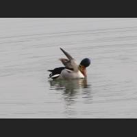 img_3248.jpg