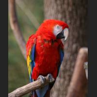 img_4725.jpg